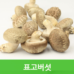 국내산 생표고버섯1kg 쫄깃한생표고 웰빙푸드