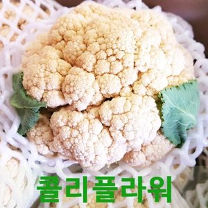 싱싱한 콜리플라워1kg 칼리 웰빙채소(2-3송이)