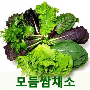 싱싱한 모듬쌈채소2kg 7-9종채소모음 웰빙푸드