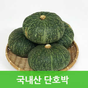 국내산 단호박10kg영양만점 슈퍼푸드 싱싱지오